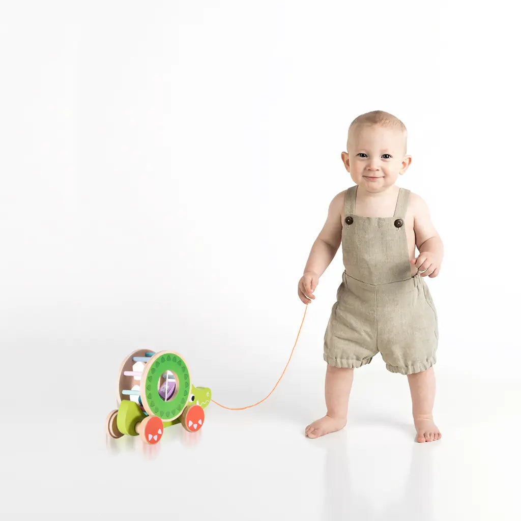 Wooden Educational Toy - Multi-Functional Animal Pull Toy