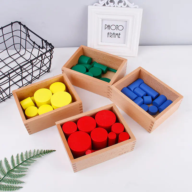 Montessori Colorful Wooden Cylinder Educational Toy